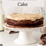 A chocolate cake with peanut butter frosting on a cake stand.