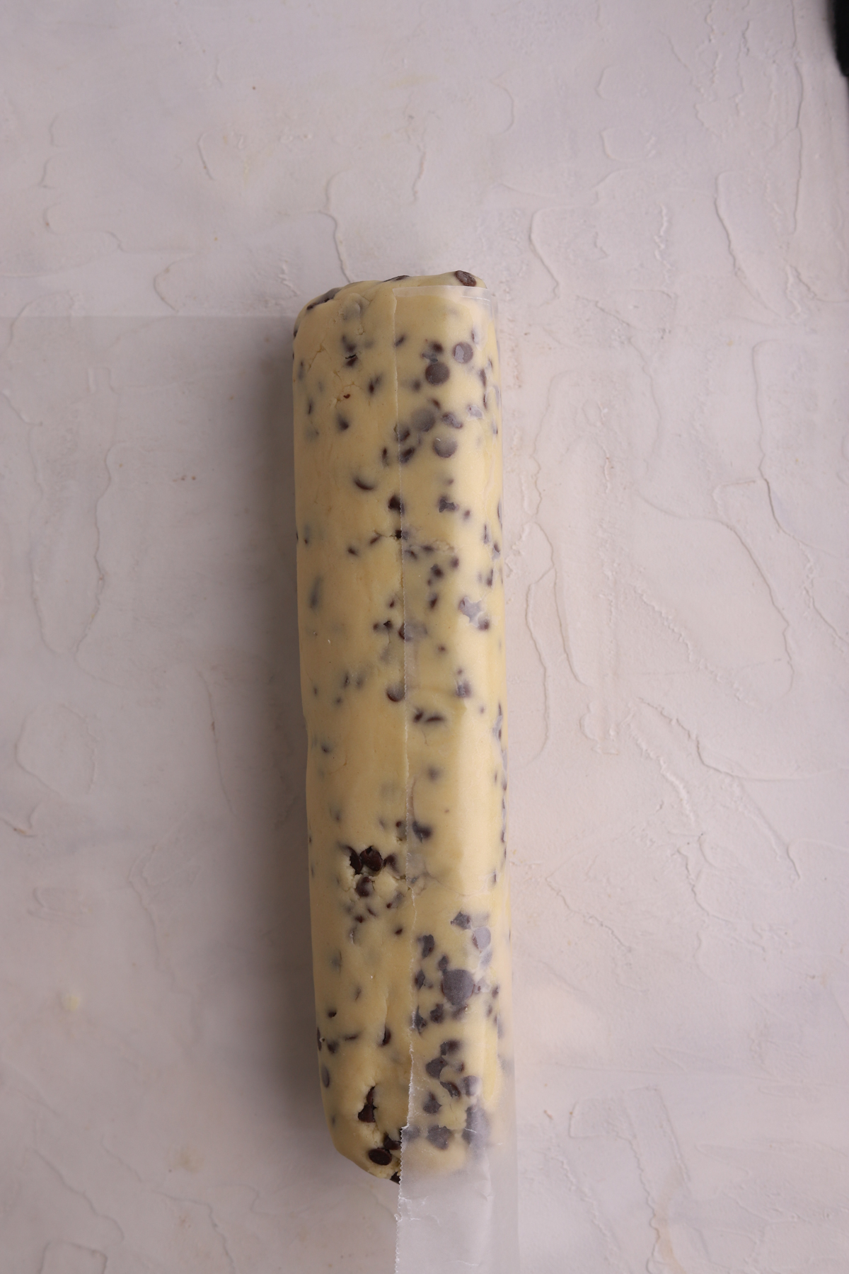 Chocolate chip cookie dough rolled into a log.